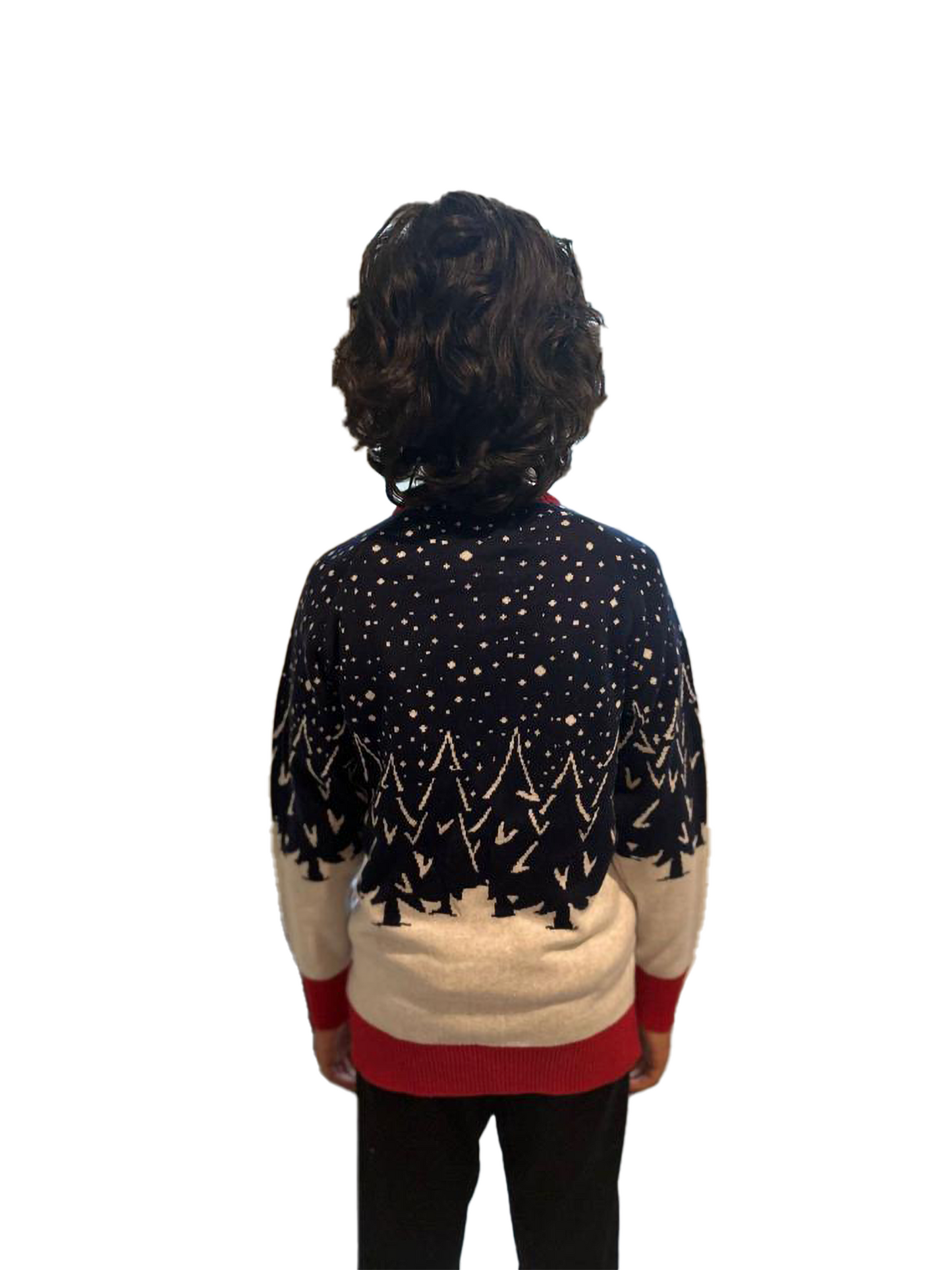 Santa & Reinder Sweater