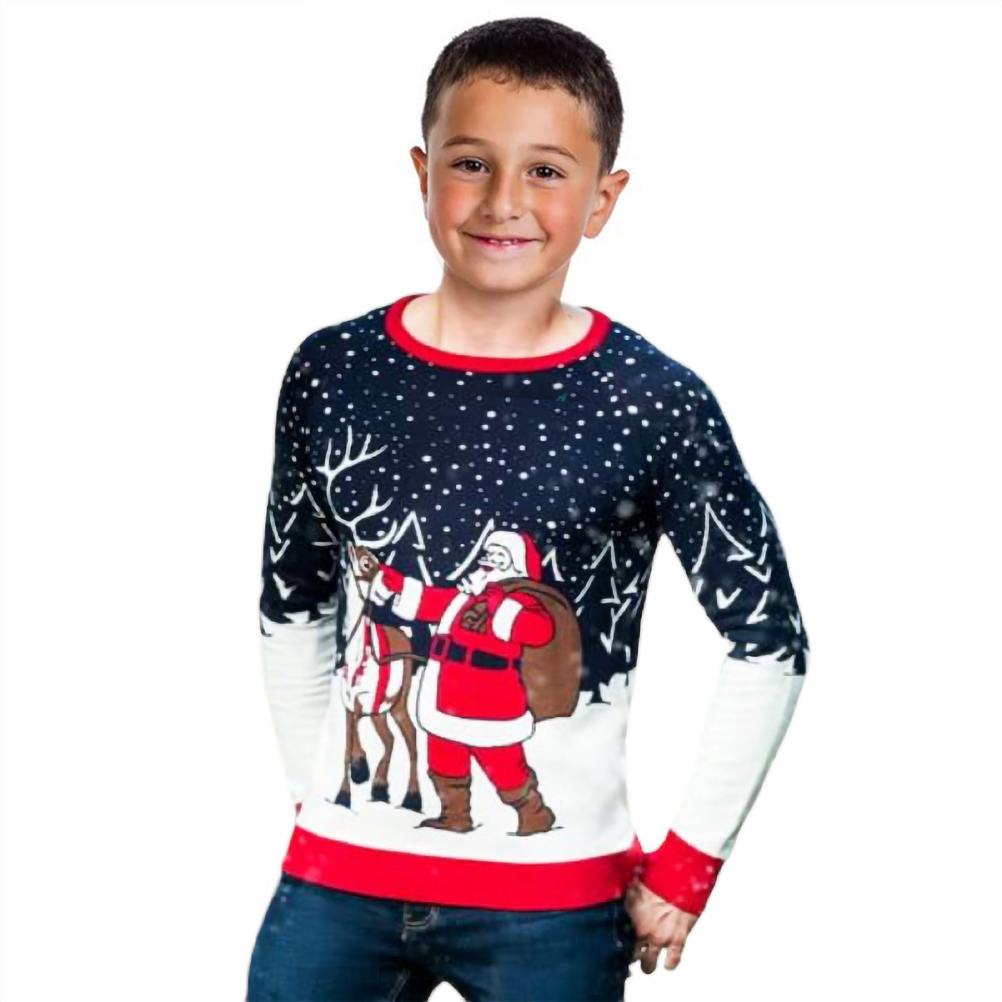 Santa & Reinder Sweater